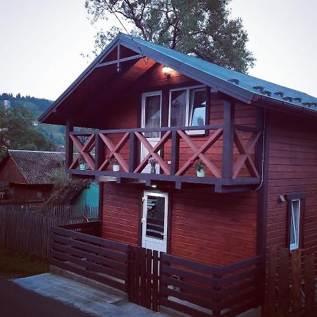 У Мар'Яни Villa Vorokhta Exterior photo